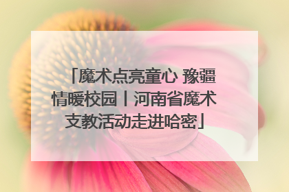 魔术点亮童心 豫疆情暖校园丨河南省魔术支教活动走进哈密