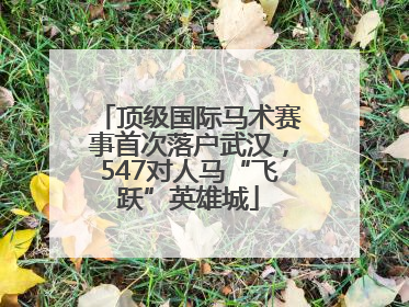 顶级国际马术赛事首次落户武汉，547对人马“飞跃”英雄城