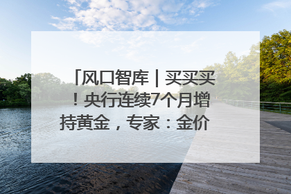 风口智库｜买买买！央行连续7个月增持黄金，专家：金价或仍易涨难跌