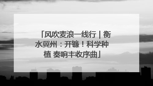 风吹麦浪一线行｜衡水冀州：开镰！科学种植 奏响丰收序曲