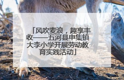 风吹麦浪，趣享丰收——五河县申集镇大李小学开展劳动教育实践活动