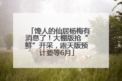 馋人的仙居杨梅有消息了！大棚版抢“鲜”开采，露天版预计要等6月