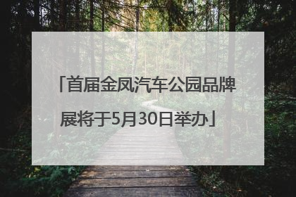 首届金凤汽车公园品牌展将于5月30日举办