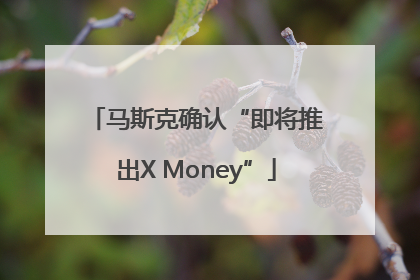 马斯克确认“即将推出X Money”