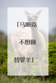 马斯克：不想做替罪羊