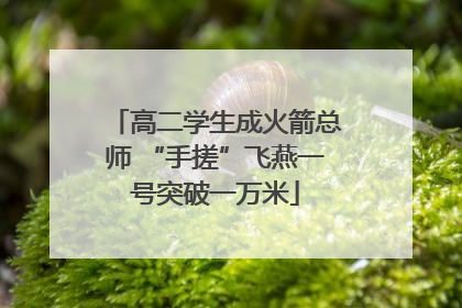高二学生成火箭总师 “手搓”飞燕一号突破一万米