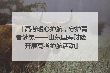 高考暖心护航，守护青春梦想——山东国寿财险开展高考护航活动