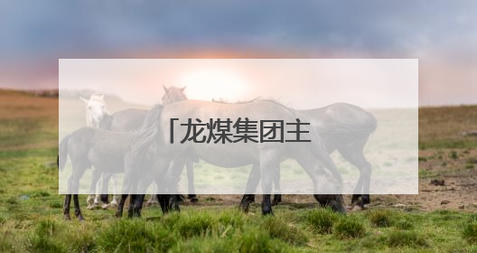 龙煤集团主要领导调整