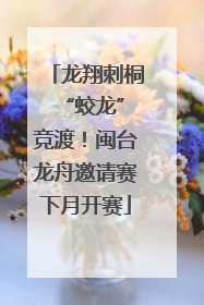 龙翔刺桐 “蛟龙”竞渡！闽台龙舟邀请赛下月开赛