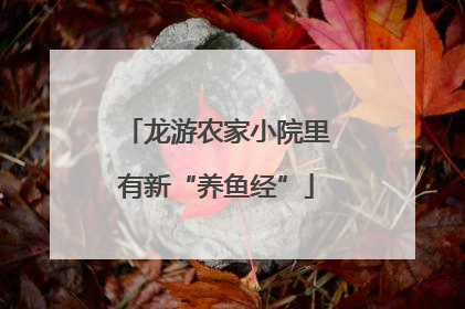 龙游农家小院里有新“养鱼经”