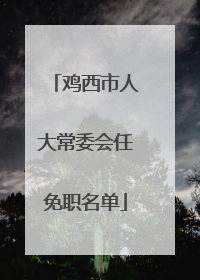 鸡西市人大常委会任免职名单