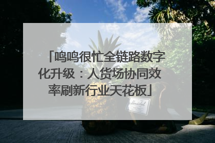 鸣鸣很忙全链路数字化升级：人货场协同效率刷新行业天花板