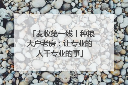 麦收第一线丨种粮大户老房：让专业的人干专业的事