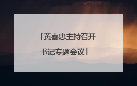 黄喜忠主持召开书记专题会议