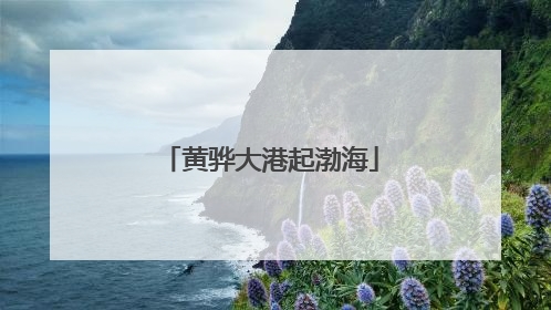 黄骅大港起渤海