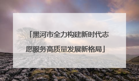 黑河市全力构建新时代志愿服务高质量发展新格局