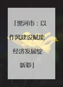 黑河市：以作风建设赋能 经济发展绽新彩