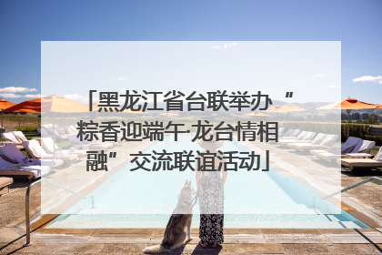 黑龙江省台联举办“粽香迎端午·龙台情相融”交流联谊活动