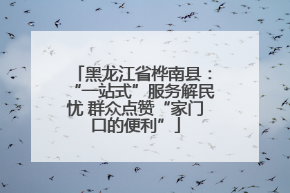 黑龙江省桦南县：“一站式”服务解民忧 群众点赞“家门口的便利”