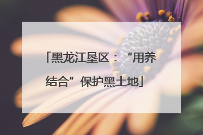 黑龙江垦区：“用养结合”保护黑土地