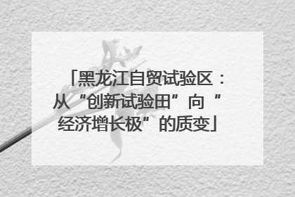 黑龙江自贸试验区：从“创新试验田”向“经济增长极”的质变