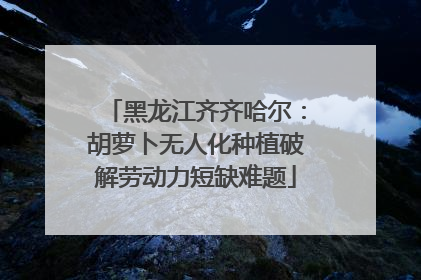 黑龙江齐齐哈尔：胡萝卜无人化种植破解劳动力短缺难题