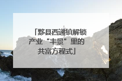 黟县西递镇解锁产业“丰景”里的共富方程式