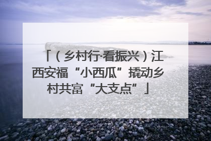 （乡村行·看振兴）江西安福“小西瓜”撬动乡村共富“大支点”
