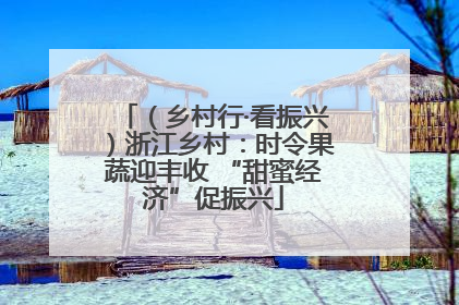 （乡村行·看振兴）浙江乡村：时令果蔬迎丰收 “甜蜜经济”促振兴