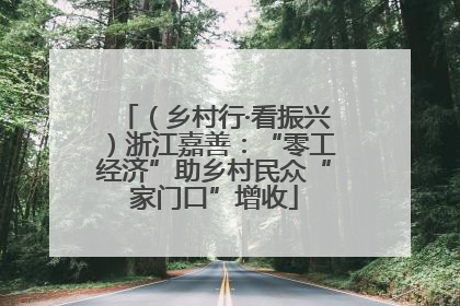（乡村行·看振兴）浙江嘉善：“零工经济”助乡村民众“家门口”增收