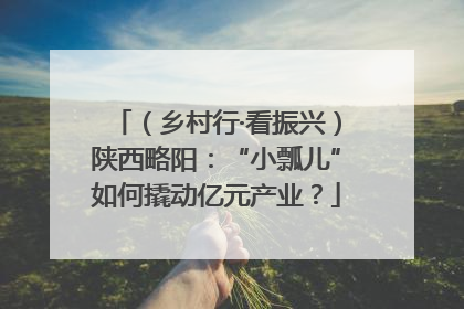 （乡村行·看振兴）陕西略阳：“小瓢儿”如何撬动亿元产业？