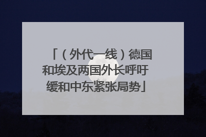 （外代一线）德国和埃及两国外长呼吁缓和中东紧张局势