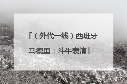 （外代一线）西班牙马德里：斗牛表演