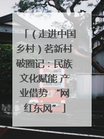 （走进中国乡村）茗新村破圈记：民族文化赋能 产业借势 “网红东风”