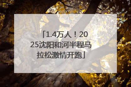1.4万人！2025沈阳和河半程马拉松激情开跑