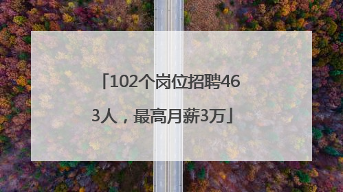 102个岗位招聘463人，最高月薪3万