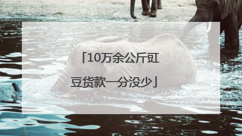 10万余公斤豇豆货款一分没少