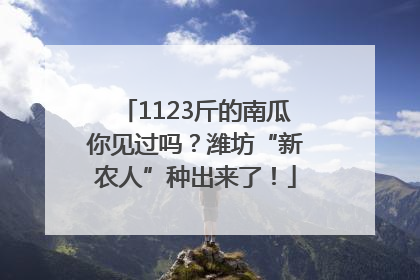 1123斤的南瓜你见过吗？潍坊“新农人”种出来了！