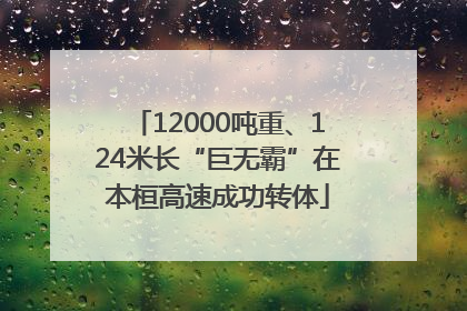 12000吨重、124米长“巨无霸”在本桓高速成功转体