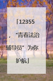 12355，“青春法治辅导员”为你护航