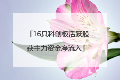 16只科创板活跃股获主力资金净流入