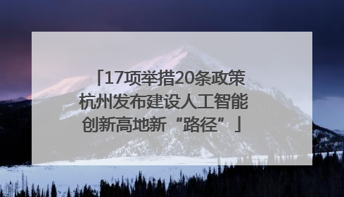 17项举措20条政策 杭州发布建设人工智能创新高地新“路径”