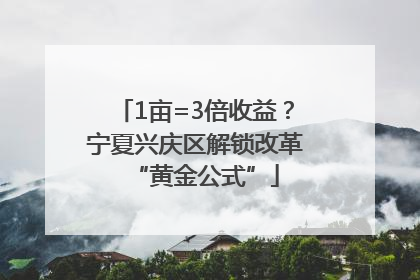 1亩=3倍收益？宁夏兴庆区解锁改革“黄金公式”