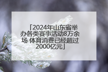 2024年山东省举办各类赛事活动8万余场 体育消费已经超过2000亿元