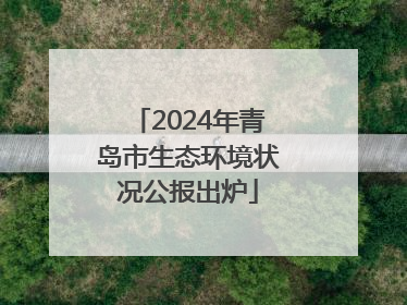 2024年青岛市生态环境状况公报出炉