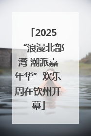 2025“浪漫北部湾 潮派嘉年华”欢乐周在钦州开幕