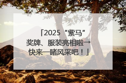 2025“紫马”奖牌、服装亮相啦→快来一睹风采吧！