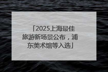 2025上海最佳旅游新场景公布，浦东美术馆等入选