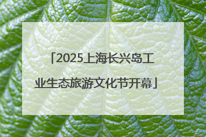 2025上海长兴岛工业生态旅游文化节开幕