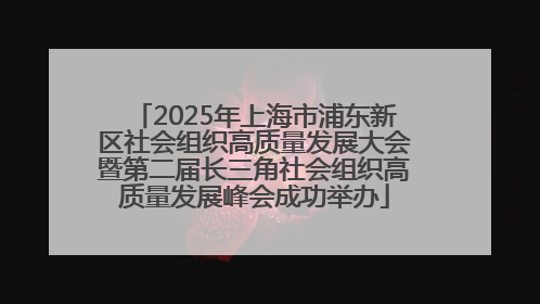 2025年上海市浦东新区社会组织高质量发展大会暨第二届长三角社会组织高质量发展峰会成功举办